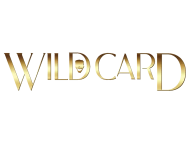 Wild Card City Casino Review