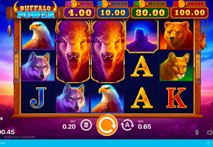 Buffalo Power: Hold and Win				 Pokie